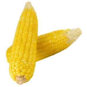Corn Without Husk - 4pcs/pkt