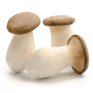 Mushrooms - King - Pkt