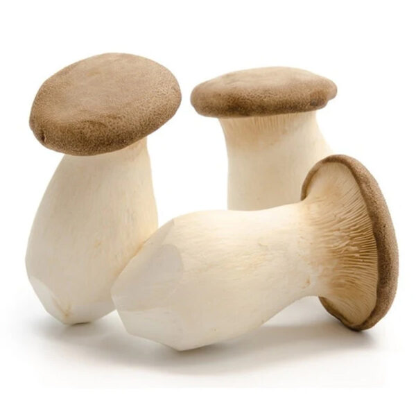 Mushrooms - King - Pkt
