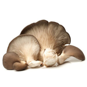 Mushrooms - Oyster - 1kg