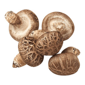 Mushrooms - Shiitake - Pkt