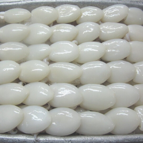 Cuttlefish Baby 60/80 Clean 12pkt x 500g