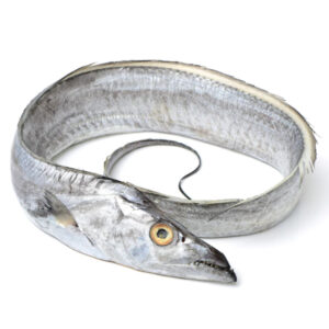 FISH BELT 300-500G 10KG/CTN