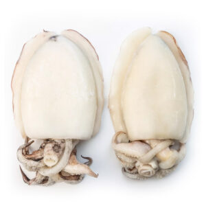 Cuttlefish Big Frozen
