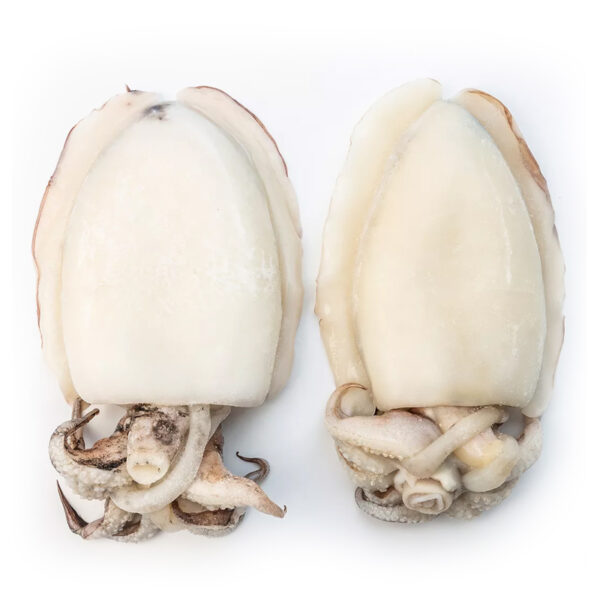 Cuttlefish Big Frozen