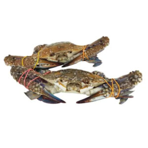Crab Flower 100-150g 8kg/Ctn - 1kg