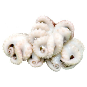 Octopus Baby