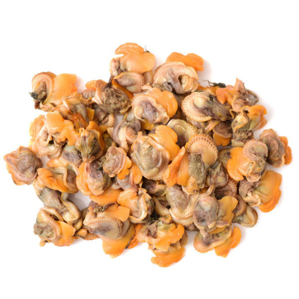 Isi Kerang IQF(COCKLE) 300-500 10pktX 1KG 40%GZ