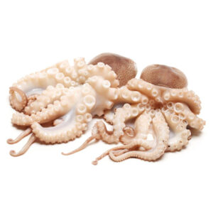 Octopus Small 12 x 1kg