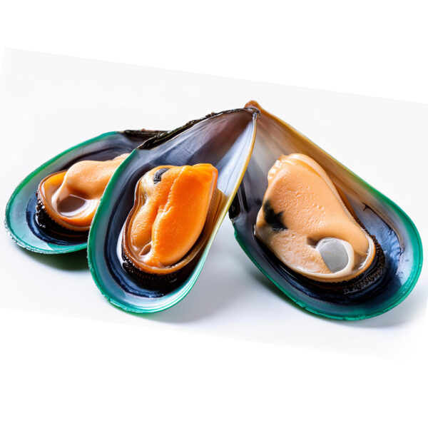 Mussel Half Shell NZ 12pkt x 800g
