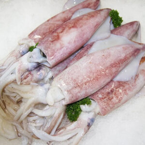 Squid A 3-6 Local 2 x 5kg 10GZ%