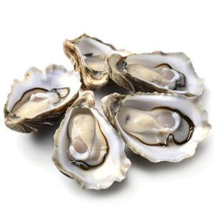 Oyster Half Shell China 8dz (96pc/ctn)