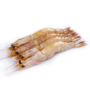Prawn Sea Shell 6kg/ctn