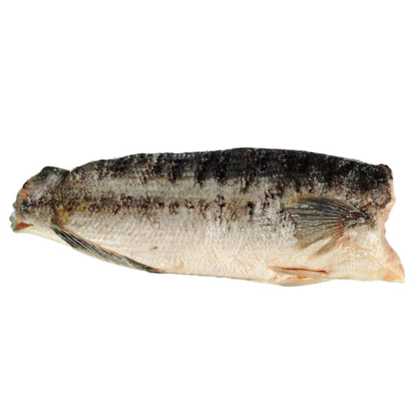 Fish Fillet Toman Thailand