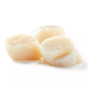 Scallop Clear Ocean  21-25 20pkt X 500g