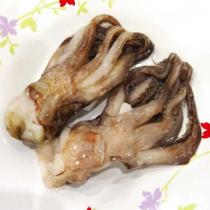 Squid Head Clean 40%GZ 10 x 1kg