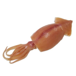 Squid Soaked (Sotong Kembang) 50%GZ 2 x 5kg / 10kg