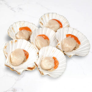 Scallop Half Shell 7-8cm china 10pkt x1kg