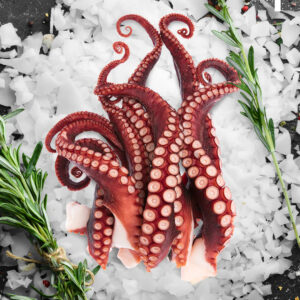 Squid Tentacles 4-8pcs 10 x 1kg