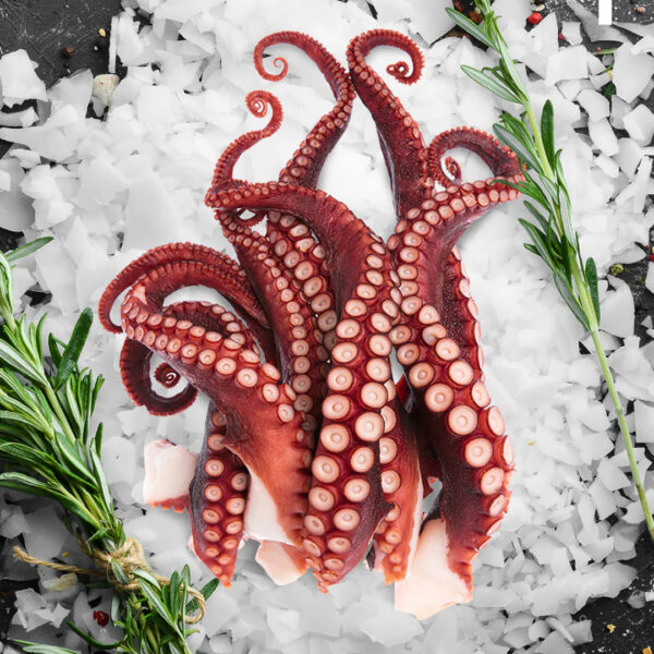 Squid Tentacles 4-8pcs 10 x 1kg