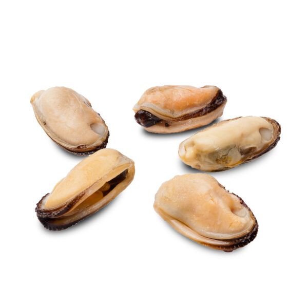 Mussel Meat 10pkt x 1kg