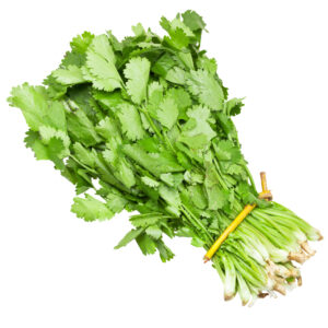 Daun Ketumbar - Coriander Leaves - 1kg