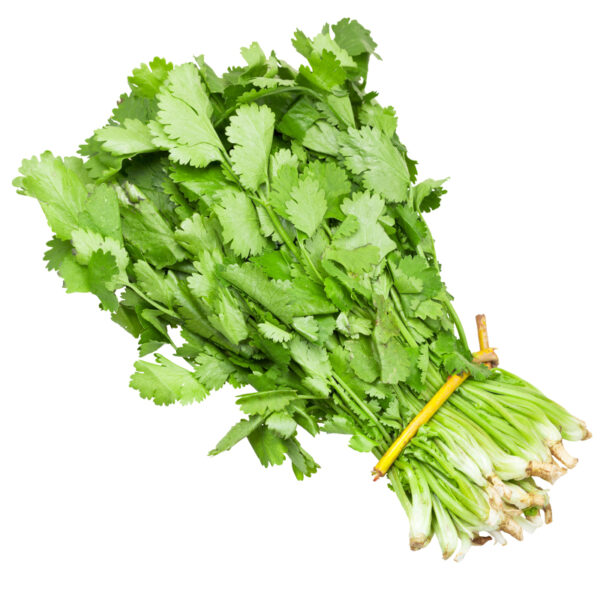 Daun Ketumbar - Coriander Leaves - 1kg