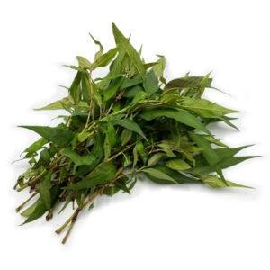 Daun Kesum - Vietnamese Coriander - 1kg
