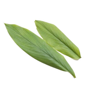 Daun Kunyit - Turmeric Leaves - 1kg