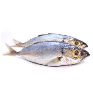 Fish Big Eye 6-8 10kg/ctn