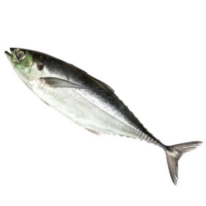 Fish Caru 6-10
