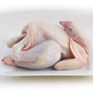 Chicken Whole Ayam Segar