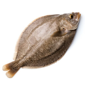 Fish Halibut Whole 3-5/kg