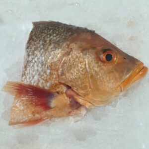 Fish Head- Golden Red Snap 400-500g/kg