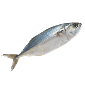 Fish Kembong A 6-8pc/kg
