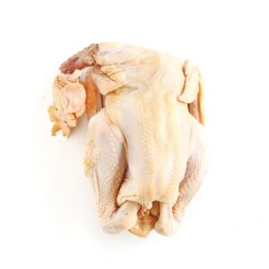 Chicken Kampong Local 1.8kg