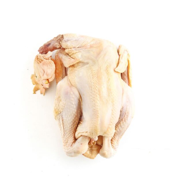 Chicken Kampong Local 1.8kg