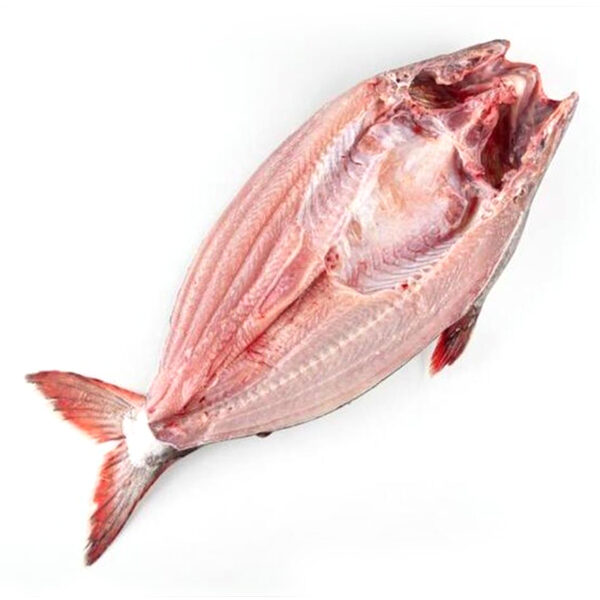 Fish Pangasius Butterfly (Patin)