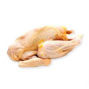 Chicken Old