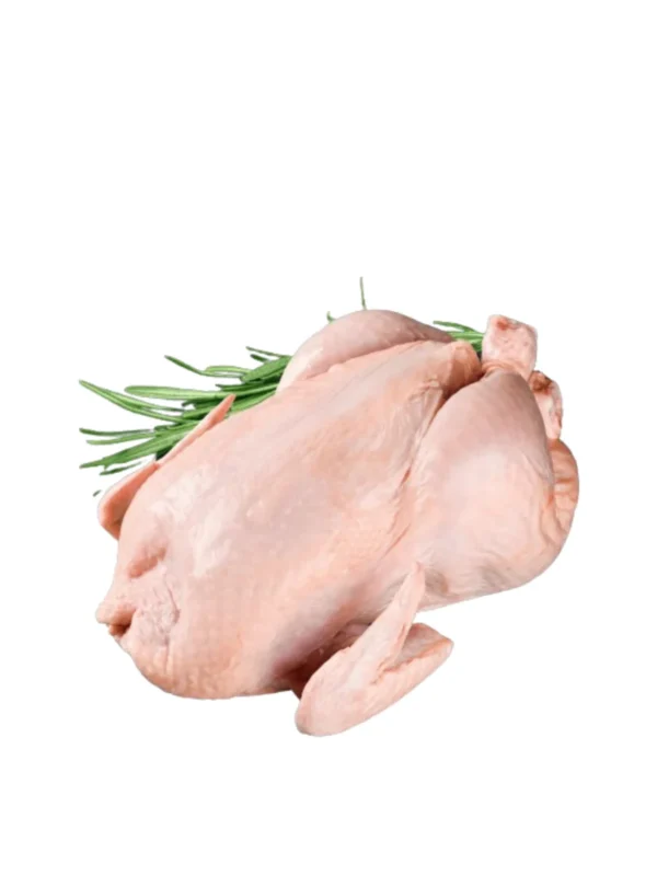 Chicken Spring Local 600-800g