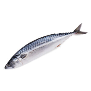 Fish Saba Whole(Norway) 400-600g/kg