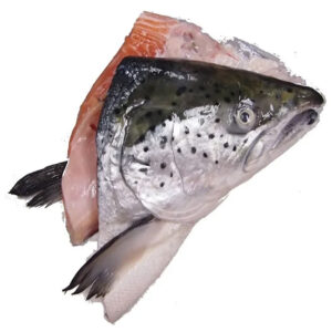 Fish Salmon Head (VCUT) 3kg+-/pkt