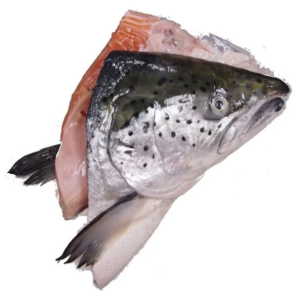 Fish Salmon Head (VCUT) 3kg+-/pkt
