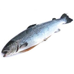Fish Salmon Whole Frozen 4-5kg