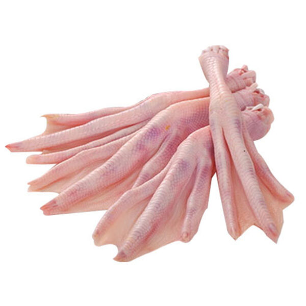 Duck Feet
