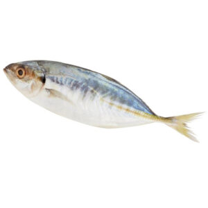 Fish Selar Papan 7-8pc/kg