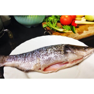 Fish Siakap Clean 400-500 net weigh