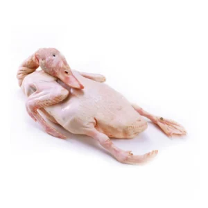 Duck Whole 2.8kg