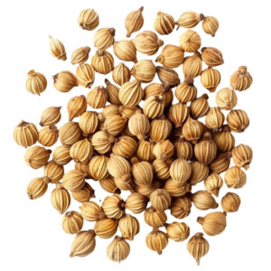 Biji Ketumbar 1kg