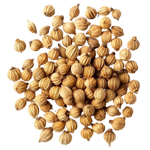 Biji Ketumbar 1kg